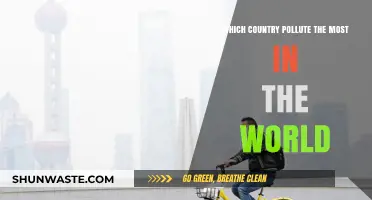 Who is the World's Worst Polluter?