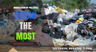 Who Pollutes the Ocean? The Worst Offenders Revealed