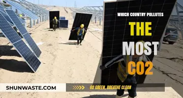 Who is the Worst CO2 Polluter Globally?