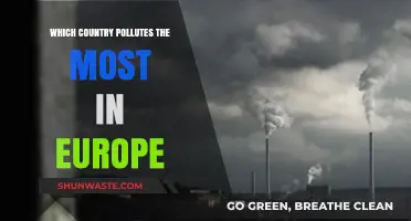 European Polluters: Who's the Worst Offender?
