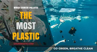 Plastic Pollution: The Worst Offenders and Their Impact