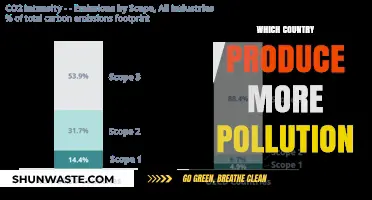 Pollution's Worst Offenders: Country Emissions Compared