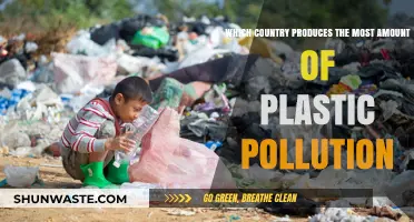 Plastic Pollution: The Worst Offenders and Their Impact