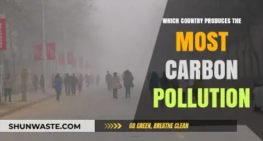 Who's the Biggest Carbon Polluter?