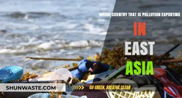 East Asia's Pollution Exporters: Who's to Blame?