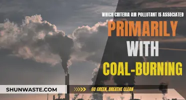 Coal-Burning and the Criteria Air Pollutant: PM2.5