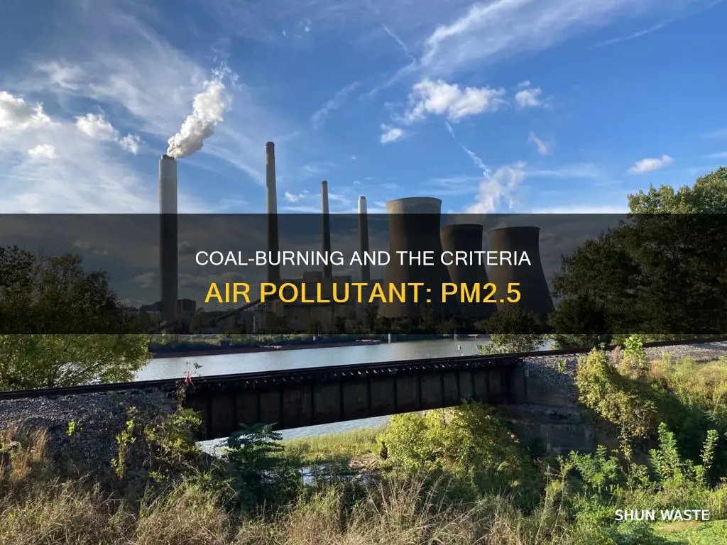 which criteria air pollutant is associated primarily with coal-burning
