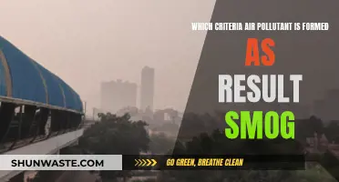 Smog and Its Impact: Criteria Air Pollutants
