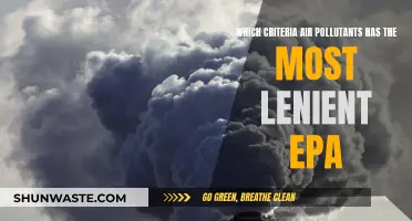 EPA's Most Lenient Criteria Air Pollutant Standard