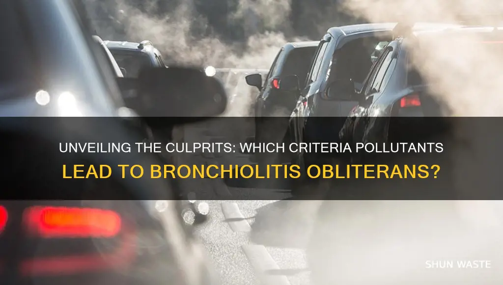 which criteria pollutant can cause bronchiolitis obliterans