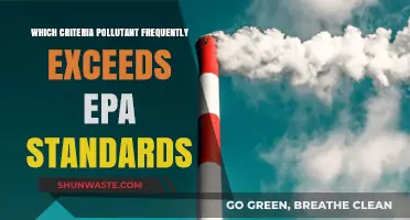 EPA Standards: Criteria Pollutants and Their Frequent Violators