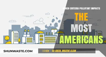 Air Pollution: The Unseen Danger Affecting Americans