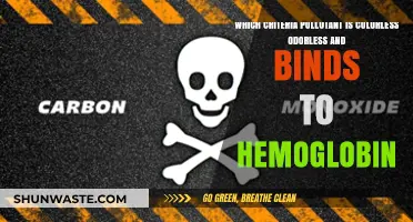 Carbon Monoxide: The Silent, Deadly Pollutant