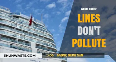 Cruise Lines: Clean Seas, Clear Conscious