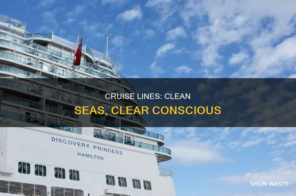 which cruise lines don