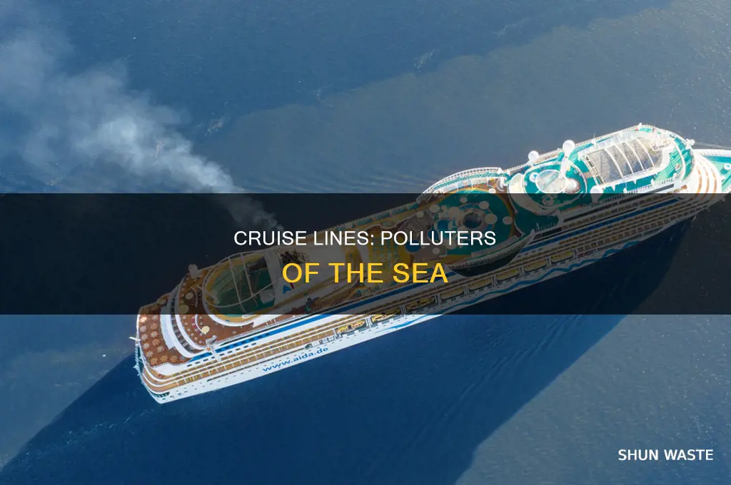 which cruise lines with violations for pollution