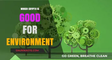 Eco-Friendly Crypto: Top Green Digital Currencies for a Sustainable Future