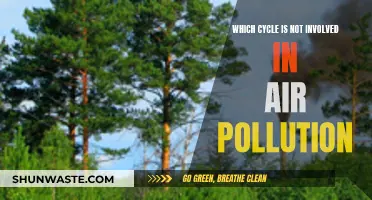 The Uninvolved Cycle in Air Pollution