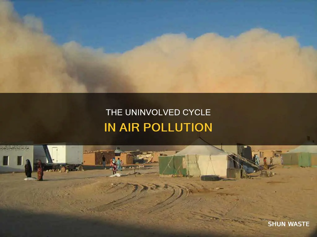 which cycle is not involved in air pollution