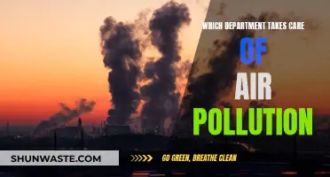 Air Pollution Control: Who's Responsible?