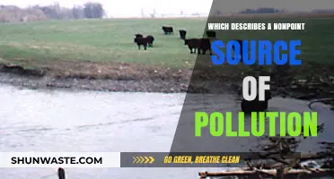 Understanding Nonpoint Source Pollution: A Complex Environmental Issue