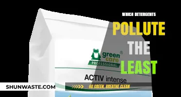 Eco-Friendly Detergents: Which Are the Greenest?