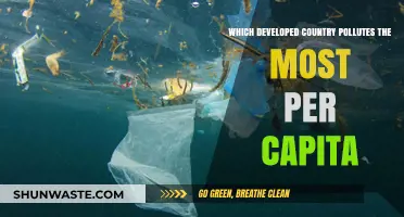 Who's the Worst Polluter Among Developed Nations?