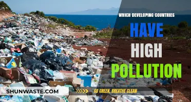 Developing Nations Plagued by Pollution Problems