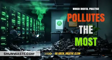 The Dark Side of Digital Pollution