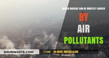 Air Pollution's Impact: Diseases Caused by Toxic Breath