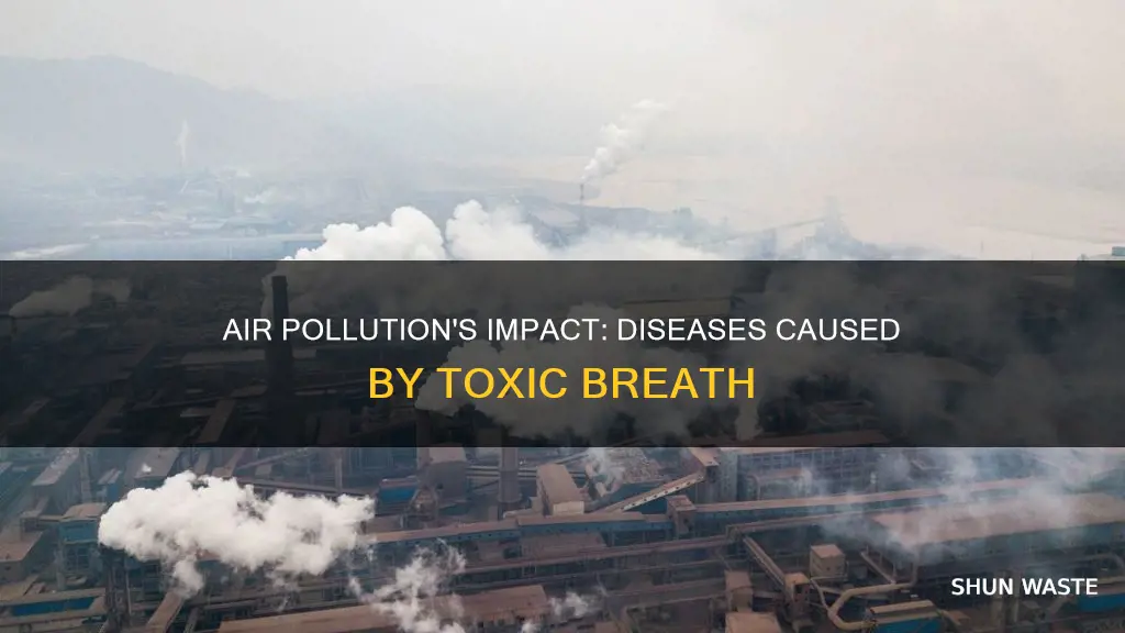 which disease can be directly caused by air pollutants