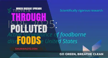 Contaminated Food: Breeding Ground for Diseases