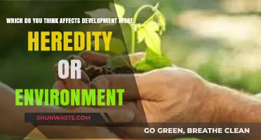 Heredity vs. Environment: Which Shapes Development More Significantly?