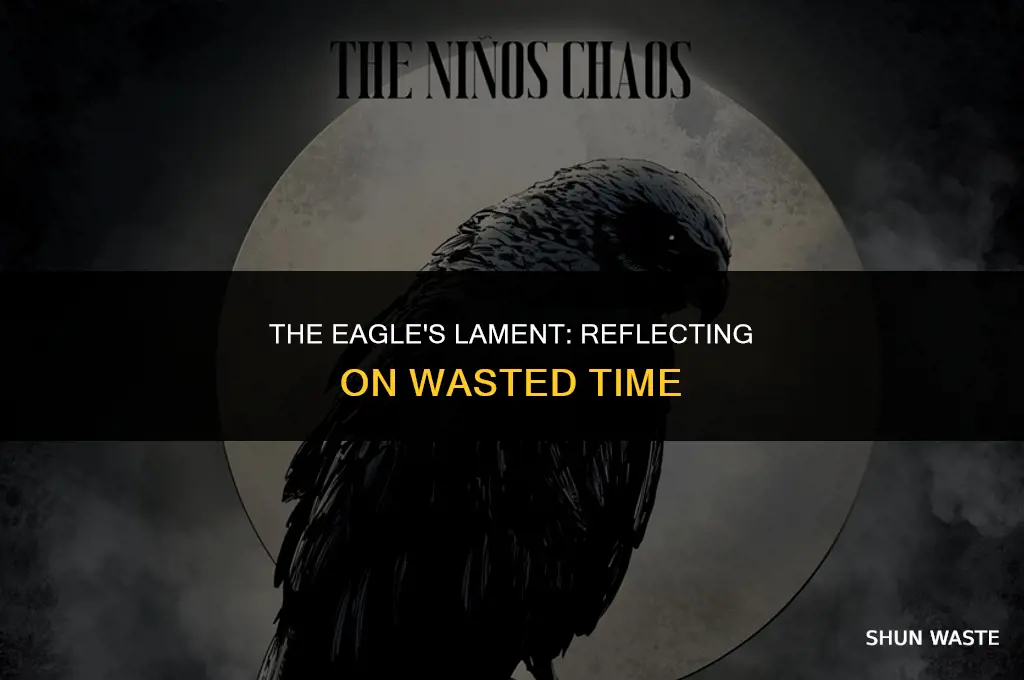 which eagle sang wasted time