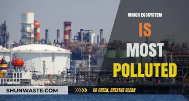 The Most Polluted Ecosystems: A Global Crisis