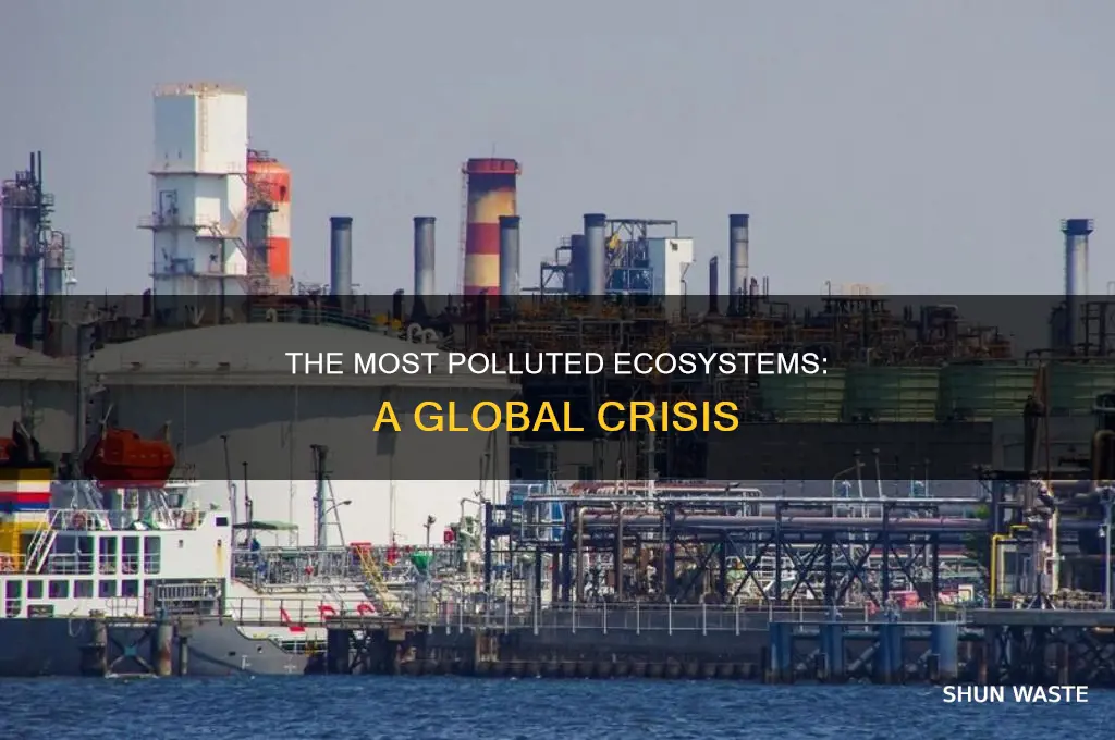 which ecosystem is most polluted