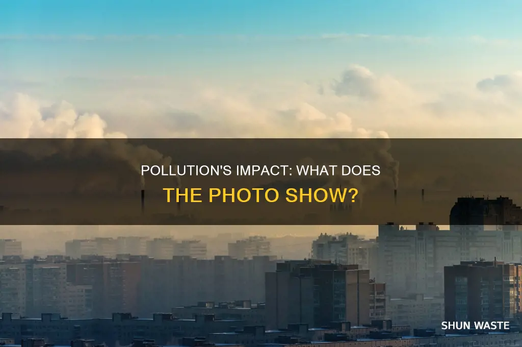 which effect of pollution does the photograph show brainly