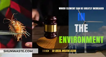 Environmental Impact: Which Element is Surging in Our Surroundings?