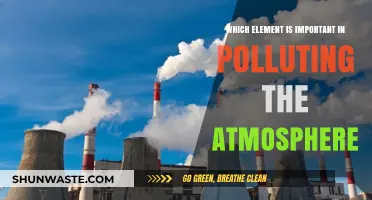 Air Pollutants: The Elements Poisoning Our Atmosphere