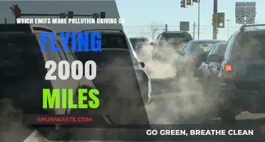 Driving vs. Flying: Which Mode Pollutes More?