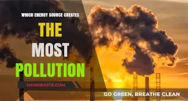 Energy Sources: Pollution's Worst Offenders