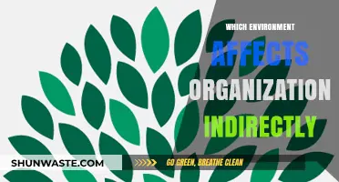 How External Environments Indirectly Shape Organizational Strategies and Outcomes