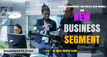 Innovative Ecosystems: How Environments Foster New Markets and Business Segments