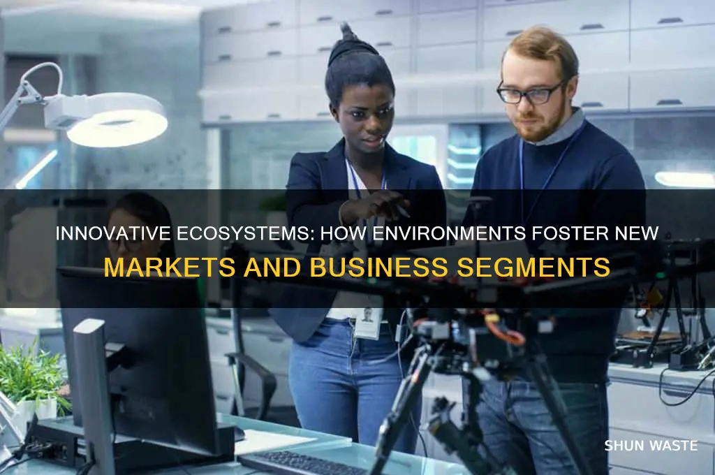 which environment can create new market and new business segment