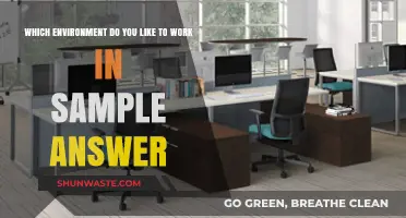 Exploring Ideal Work Environments: Insights and Sample Responses