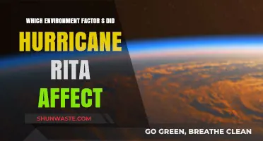 Hurricane Rita's Impact: Key Environmental Factors Disrupted by the Storm