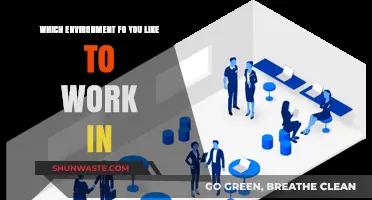 Exploring Ideal Work Environments: Where Do You Thrive Best?