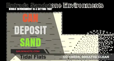 Exploring Sand Deposition: Environments That Naturally Accumulate Sand Grains