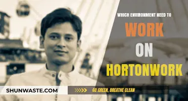 Essential Environment Setup for Hortonworks: Tools, Requirements, and Best Practices