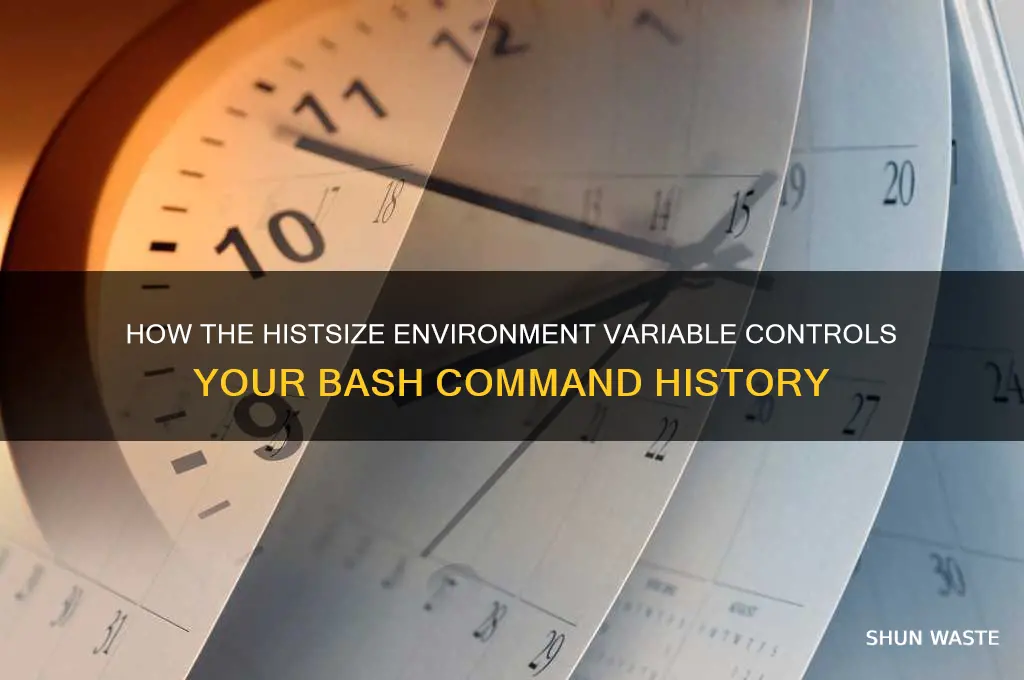 How The Histsize Environment Variable Controls Your Bash Command ...